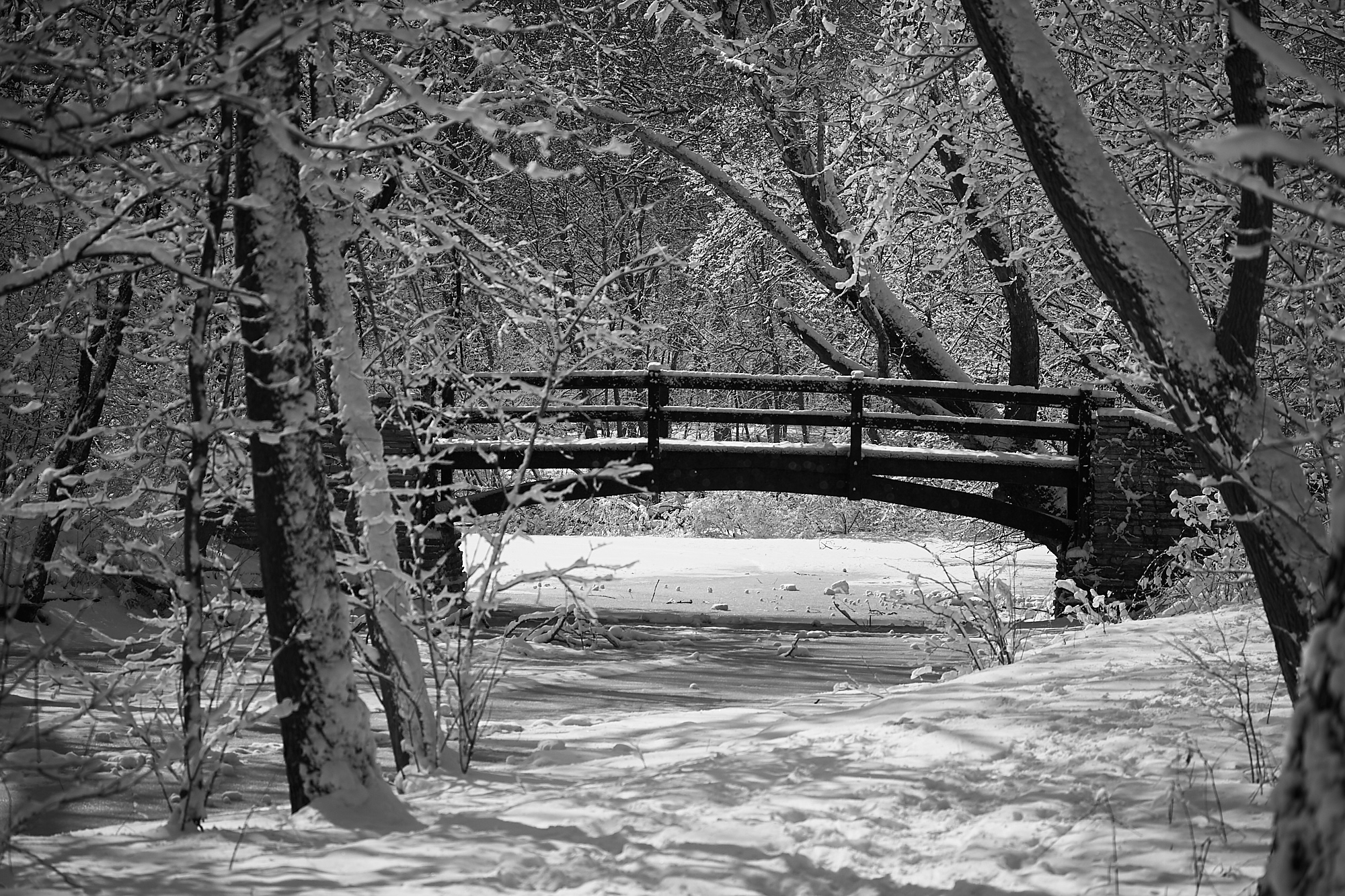 Winter at Salt Creek